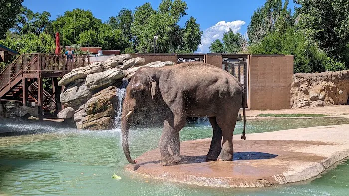 Denver Zoo 0