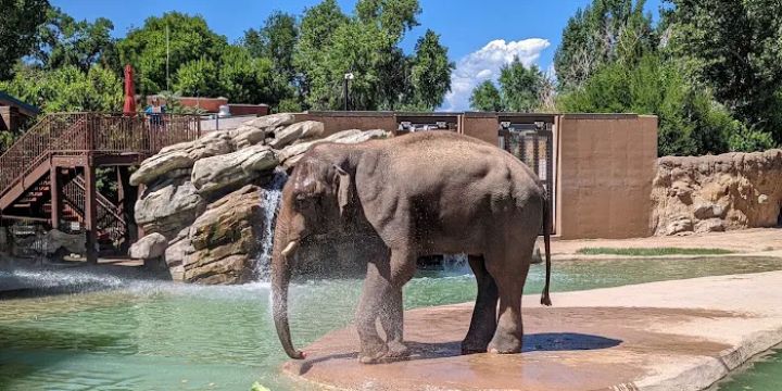 Denver Zoo