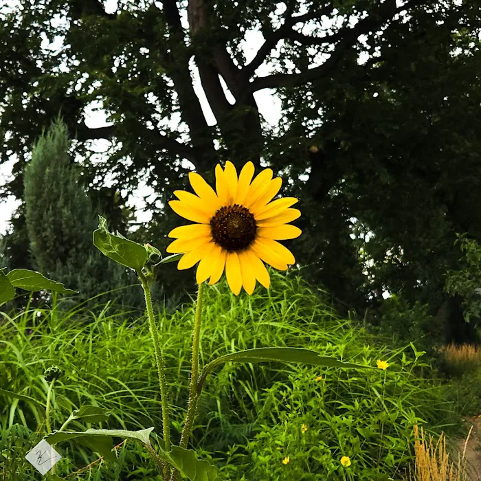 Denver Zoo 9