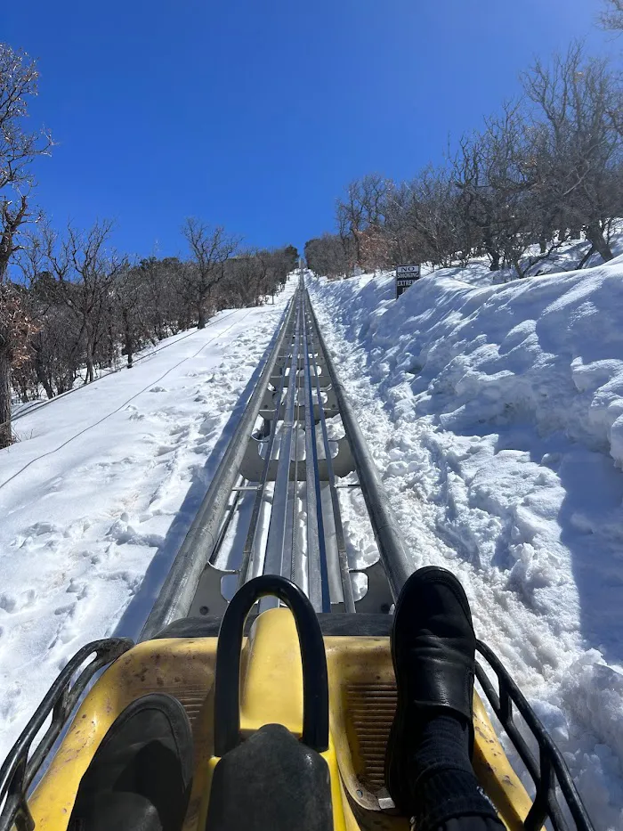 Alpine Coaster 4