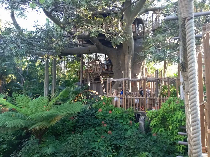 Swiss Family Treehouse 5