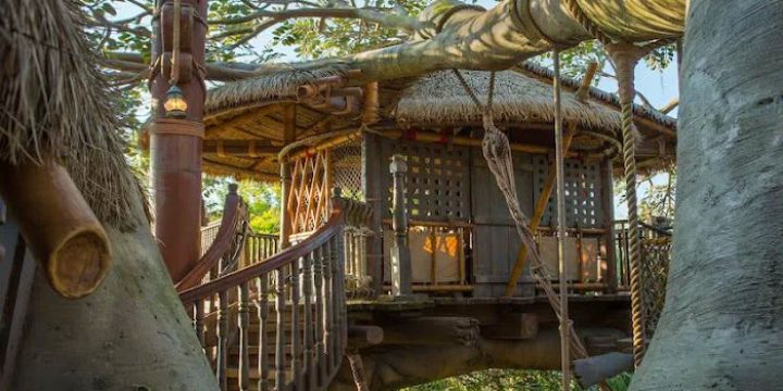 Swiss Family Treehouse