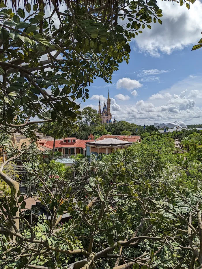 Swiss Family Treehouse 9