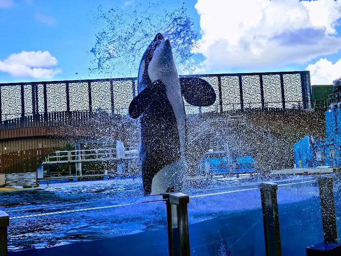 SeaWorld Orlando 8