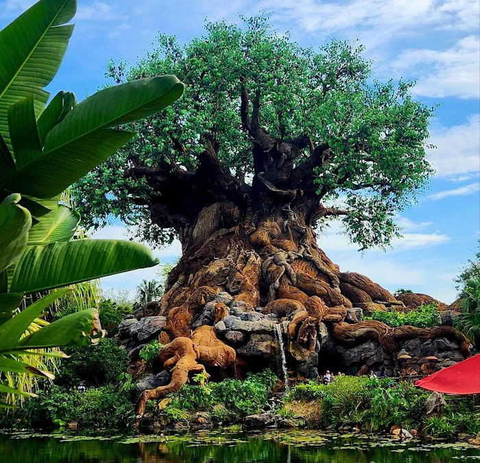 Disney's Animal Kingdom Theme Park 4