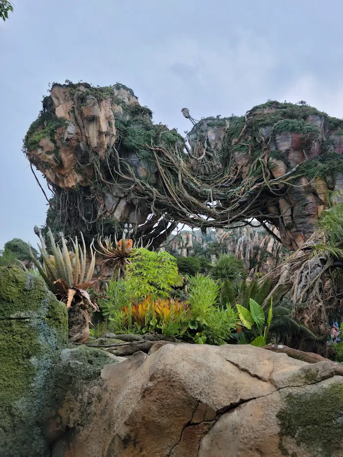 Disney's Animal Kingdom Theme Park 1