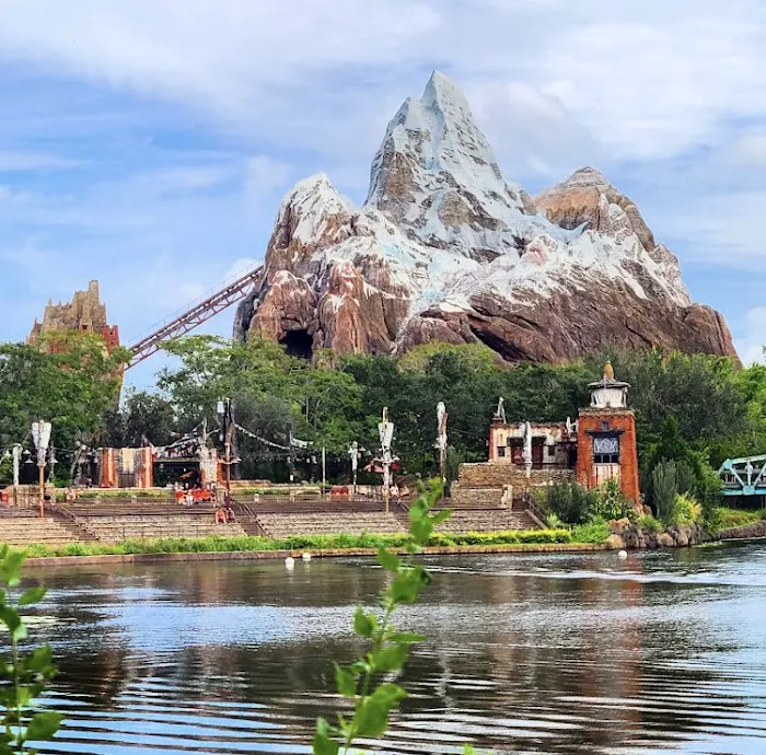 Disney's Animal Kingdom Theme Park 8