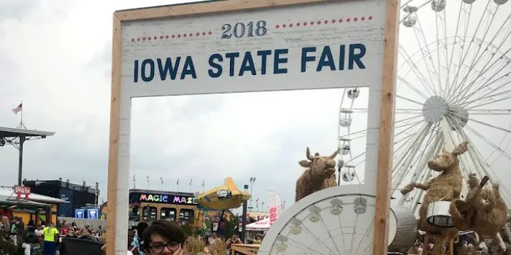 State Fair Giant Slide