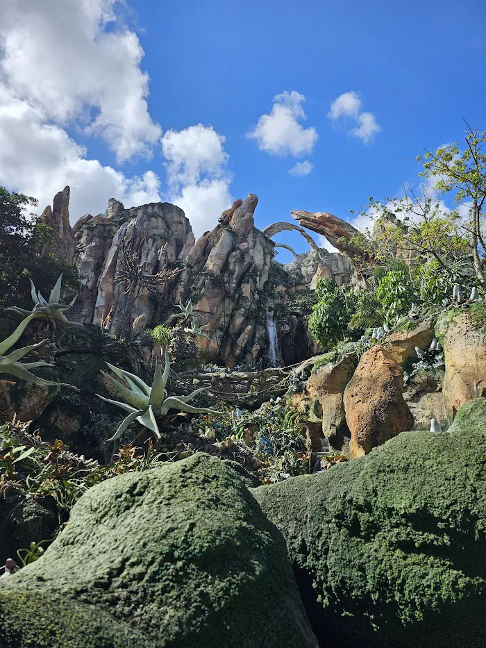 Pandora – The World of Avatar 9