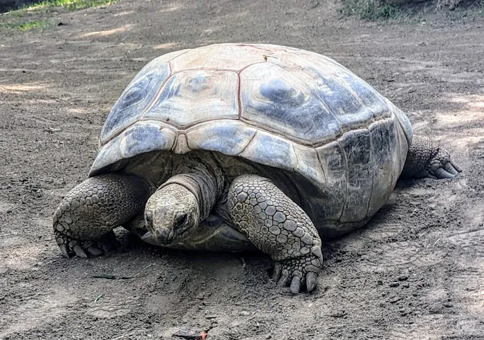 Los Angeles Zoo 1