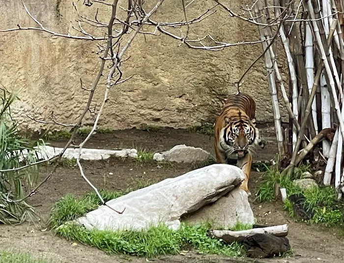 Los Angeles Zoo 6