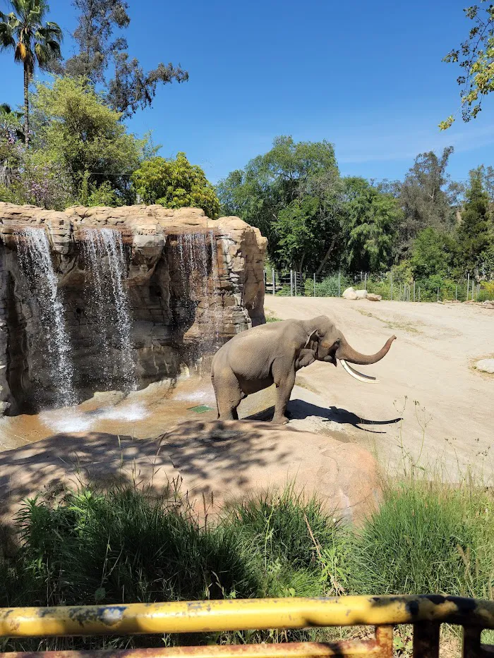 Los Angeles Zoo 0