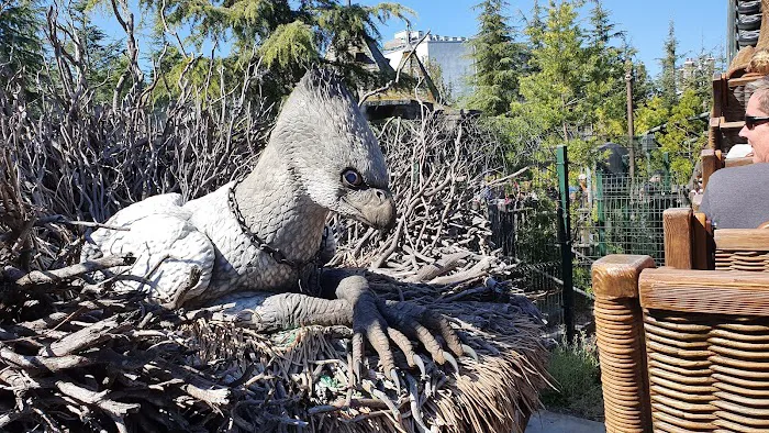 Flight of the Hippogriff 5