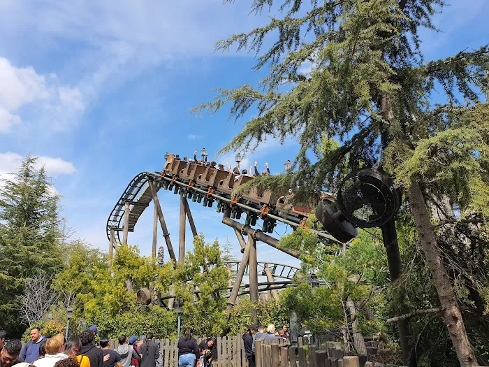 Flight of the Hippogriff 1