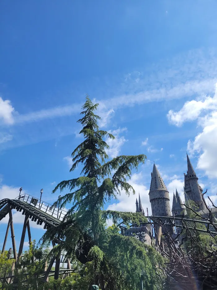 Flight of the Hippogriff 9