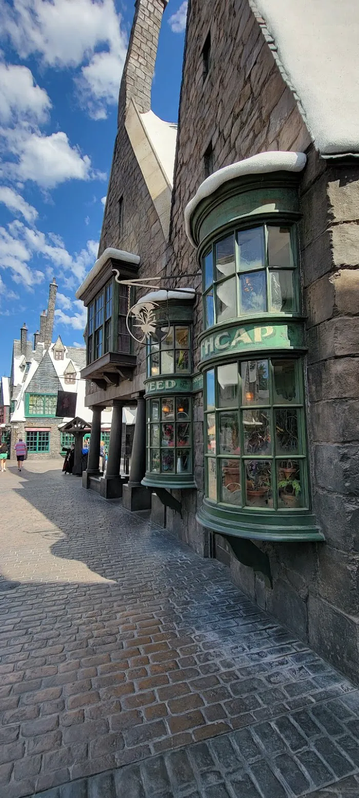 Hogsmeade 8