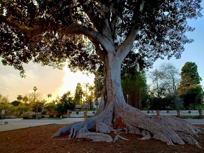 Anaheim Founders' Park 0