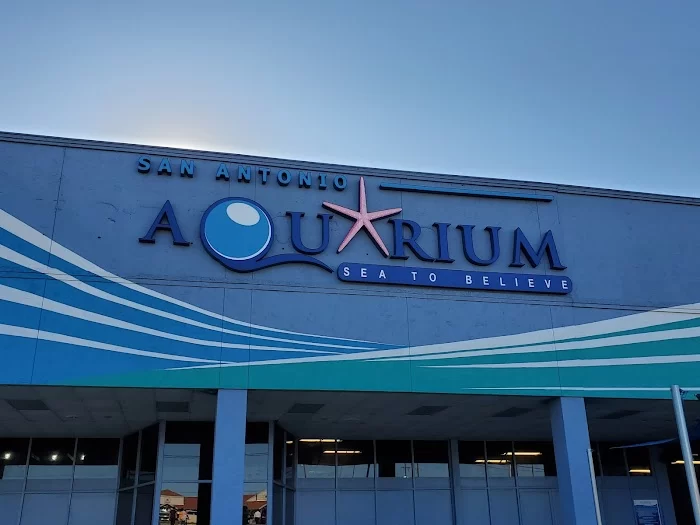 San Antonio Aquarium 1