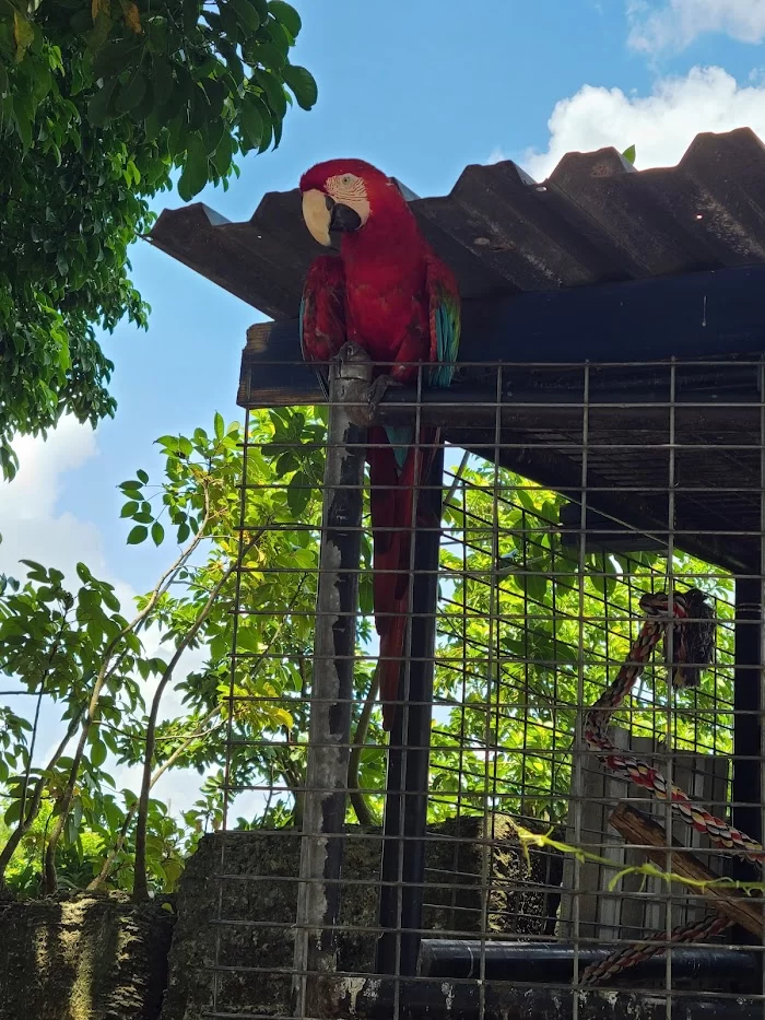 Everglades Outpost 4