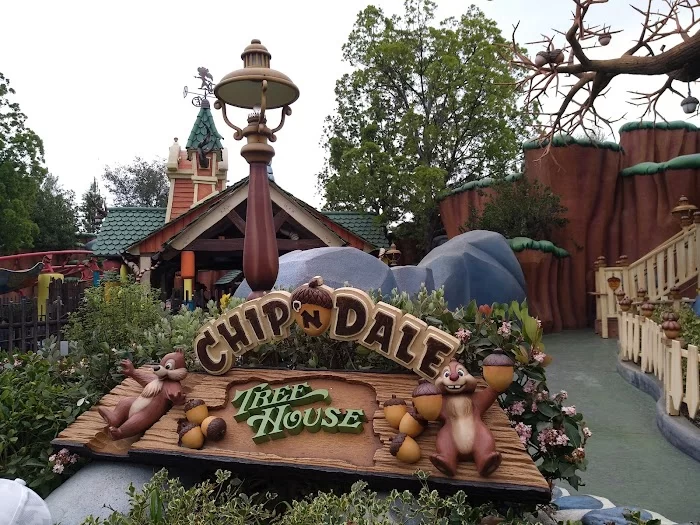 Chip 'n Dale Treehouse 8