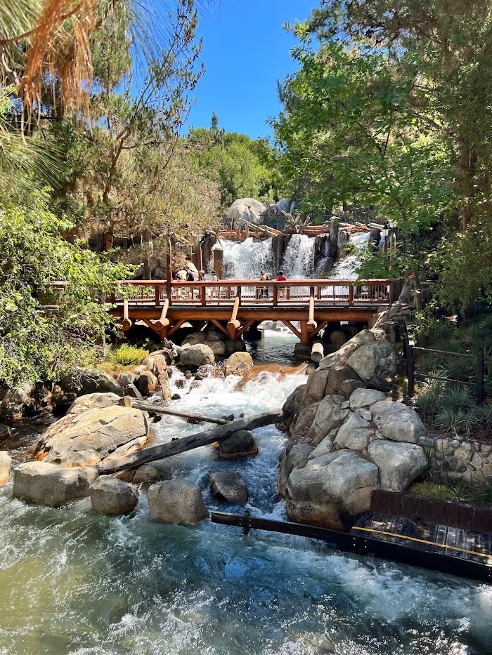 Grizzly River Run 6