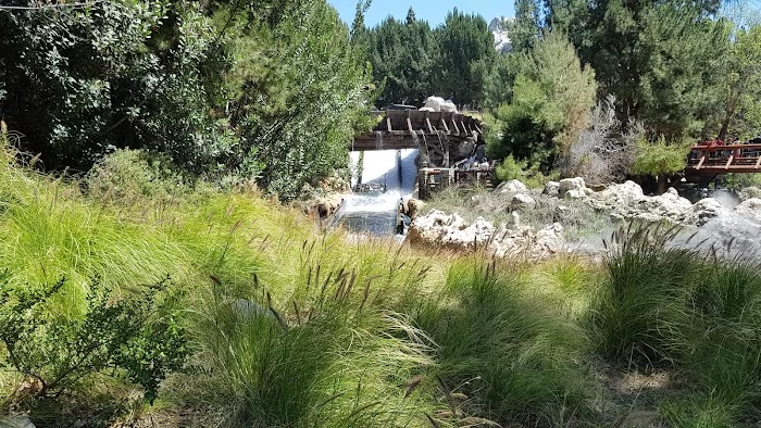 Grizzly River Run 7