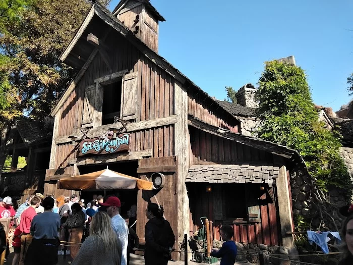 Splash Mountain 3