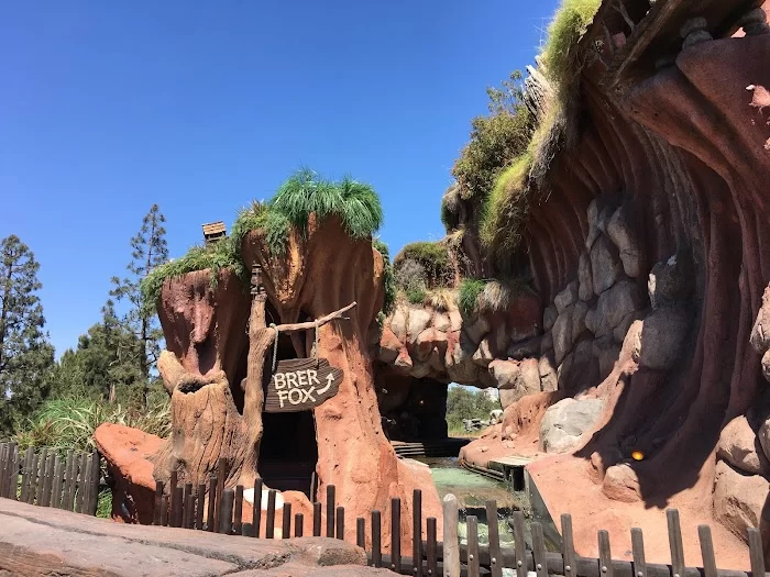 Splash Mountain 5