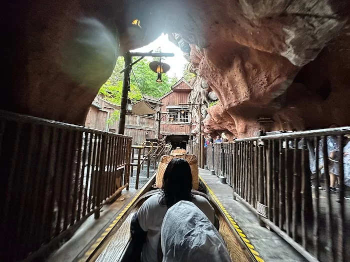 Splash Mountain 7