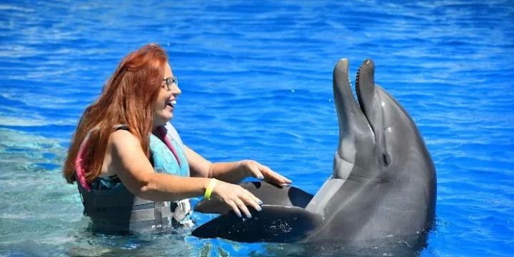 Marineland Dolphin Adventure