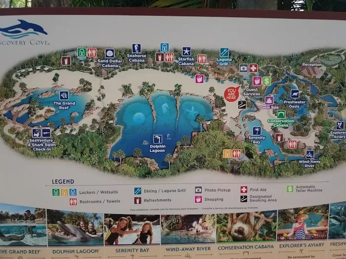 Discovery Cove 1