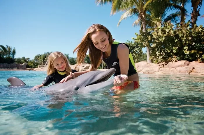 Discovery Cove 6