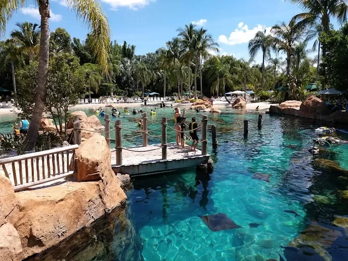 Discovery Cove 9