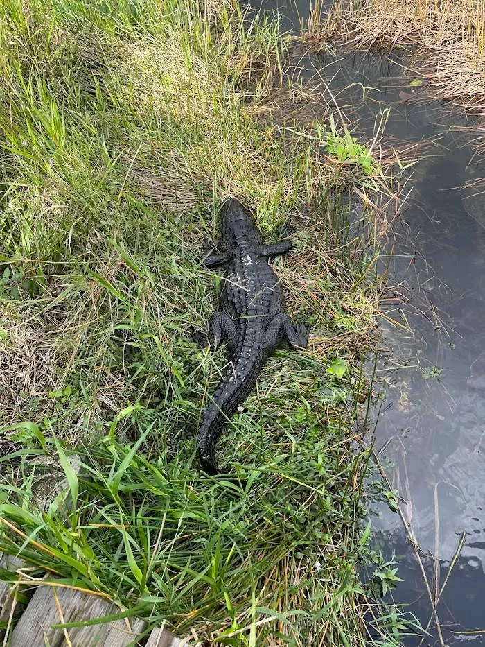 Royal Palm Visitor Center 4