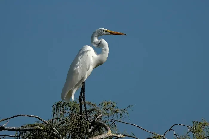 Royal Palm Visitor Center 5