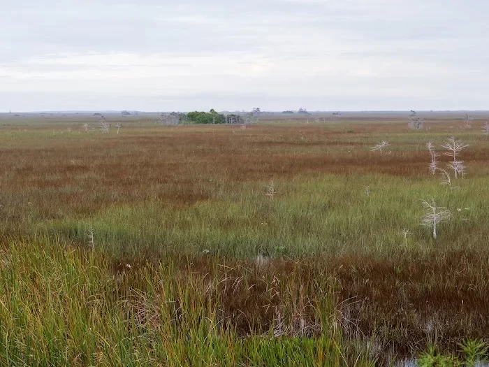 Royal Palm Visitor Center 7