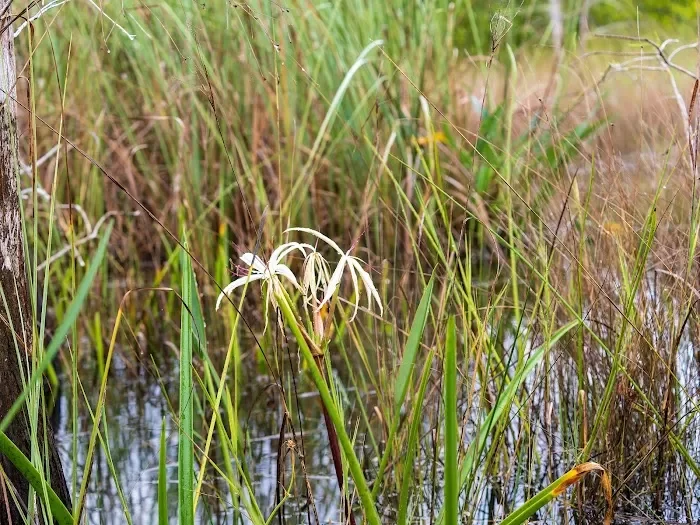 Royal Palm Visitor Center 9