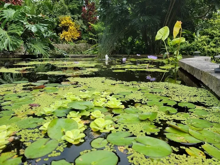 The Kampong, National Tropical Botanical Garden 2