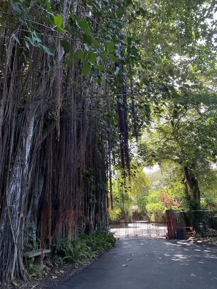 The Kampong, National Tropical Botanical Garden 3