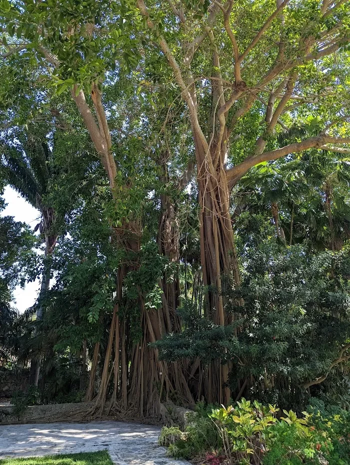 The Kampong, National Tropical Botanical Garden 6