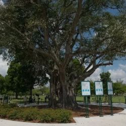 Tropical Park ico