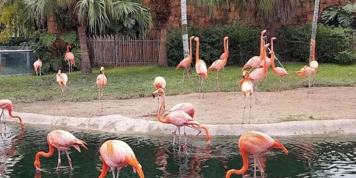 Zoo Miami