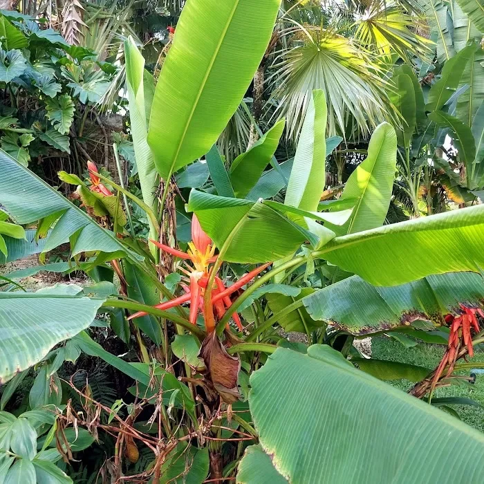 Fairchild Tropical Botanic Garden 7