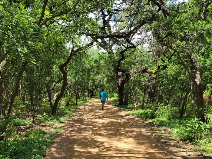 Phil Hardberger Park (East) 2