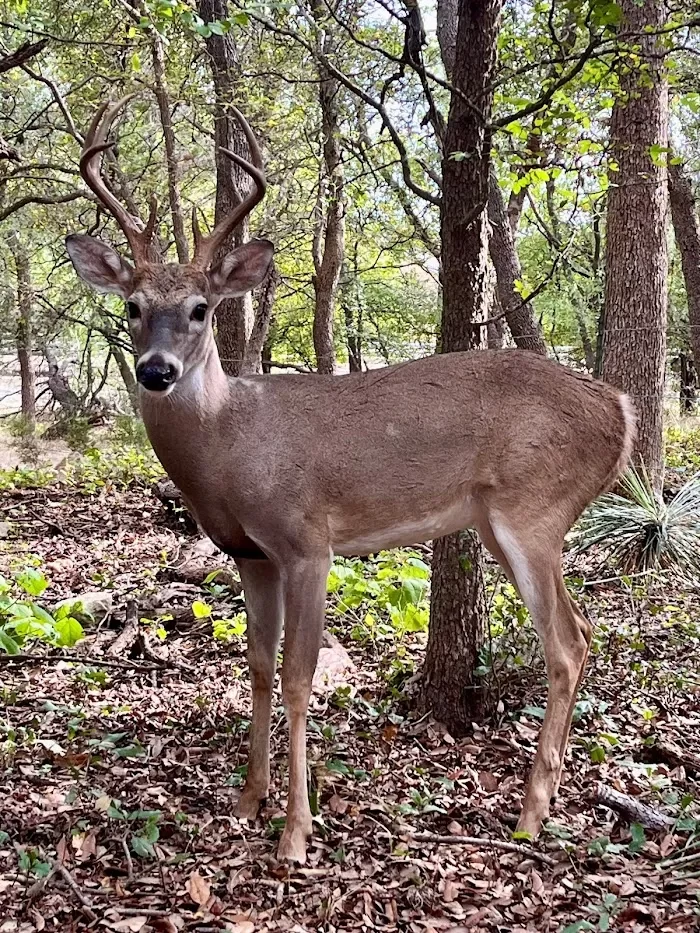 Phil Hardberger Park (East) 3