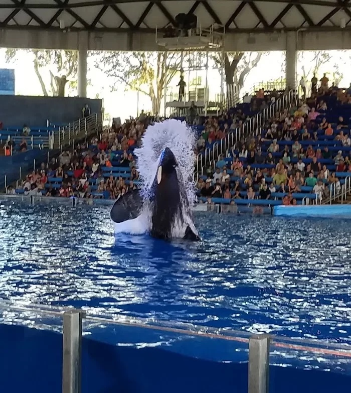 Aquatica San Antonio 1