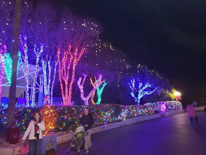 Aquatica San Antonio 8