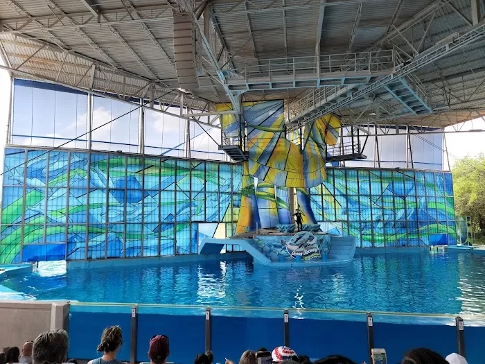 SeaWorld San Antonio 4