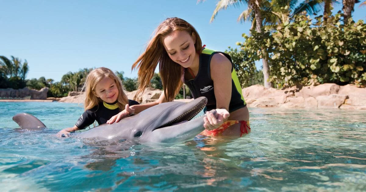 Family-Friendly Entertainment in Florida: Top Activities and Attractions for All Ages