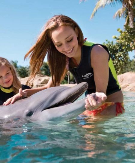 Family-Friendly Entertainment in Florida: Top Activities and Attractions for All Ages